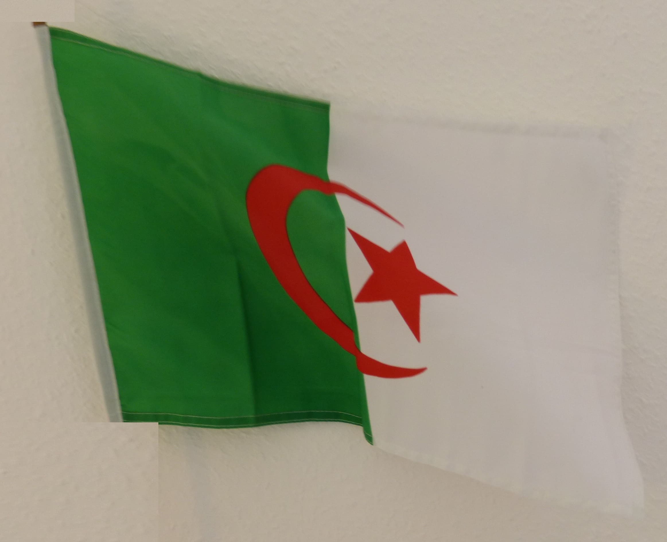 Fahne Algerien 90x150 cm