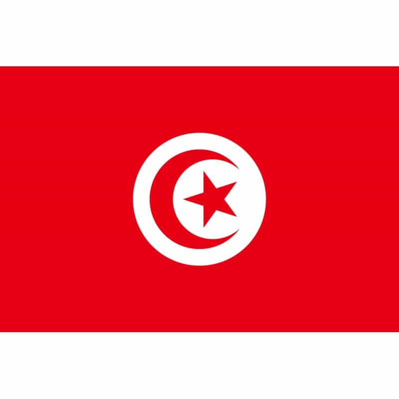 Seidenfahne Tunesien, 90x150 cm