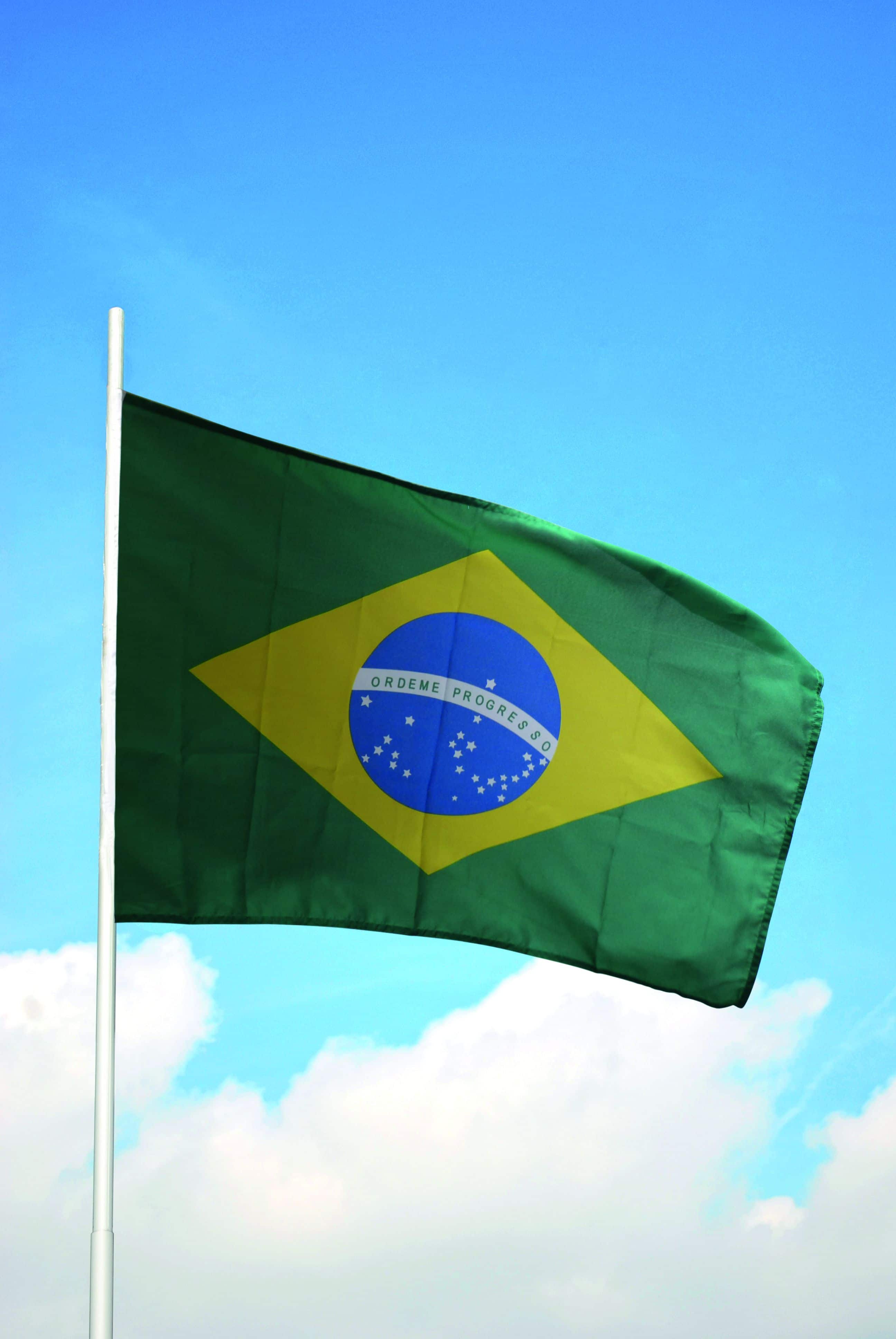 Fahne Brasilien, 90x150 cm
